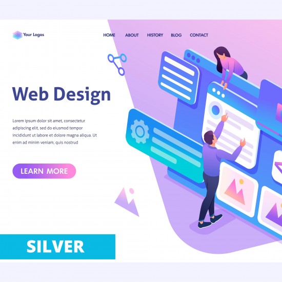 Web Sitesi Silver, DP-HZWT-002 Web Sitesi Silver, DP-HZWT-002