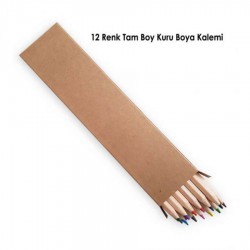 Kraft Kutulu 12 li Tam Boy Kuru Boya Kalemi 008