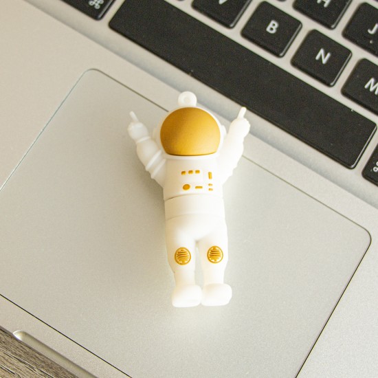 Astronot Özel Üretim Flash Bellek