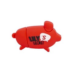 Domuzcuk Özel Üretim Flash Bellek