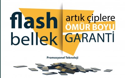 Flash Bellek Çiplerine Ömür Boyu Garanti