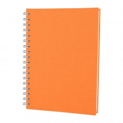 ELMADAĞ TURUNCU TARİHLİ SPİRALLİ AJANDA (17X24 CM)