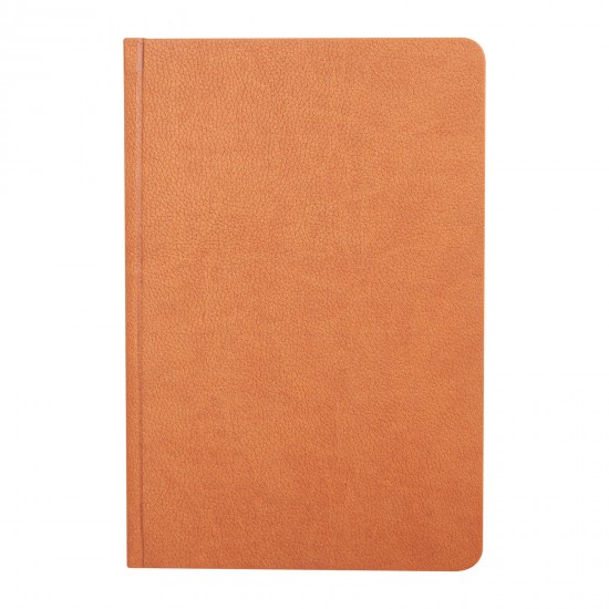 ULUS TABA TARİHLİ AJANDA (17X24 CM), 304725