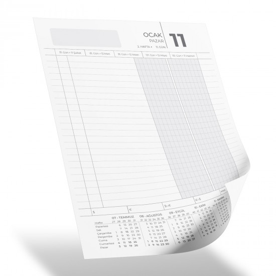 KIZILTEPE SİYAH TİCARİ AJANDA (17X24 CM), 307901