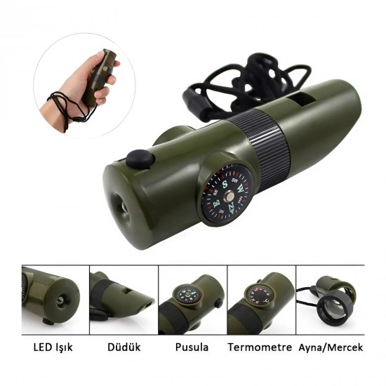 KUZEY YEŞİL PUSULALI DÜDÜK, 496610