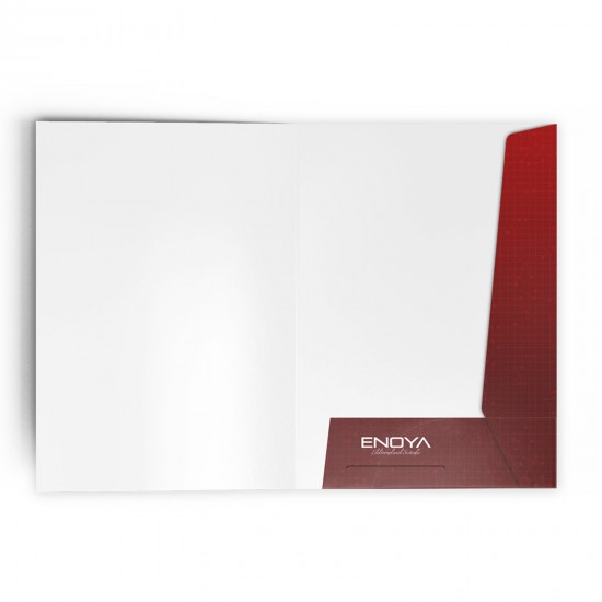 ALA-39 CEPLİ DOSYA, ALA-39