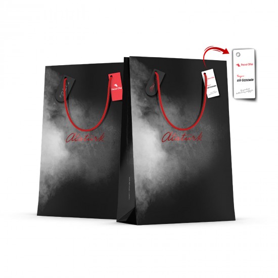 ALA-43 BÜYÜK BOY DİKEY KARTON ÇANTA, ALA-43