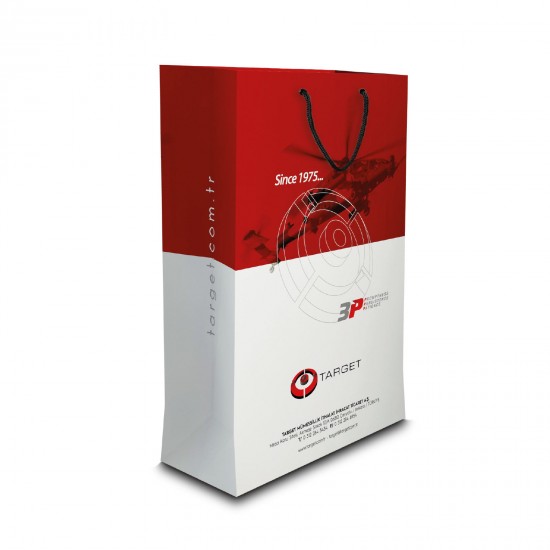 ALA-54 BÜYÜK BOY DİKEY KARTON ÇANTA(36x23x10.5 cm), ALA-54