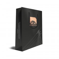 ALA-55 BÜYÜK BOY DİKEY KARTON ÇANTA(39.5x25.5x8cm)