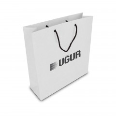 ALA-56 KÜÇÜK BOY KARTON ÇANTA(24x25.5x8,5 cm)