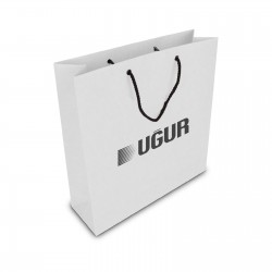 ALA-56 KÜÇÜK BOY KARTON ÇANTA(24x25.5x8,5 cm)