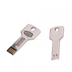Anahtar USB Flash Bellek 01 Gümüş