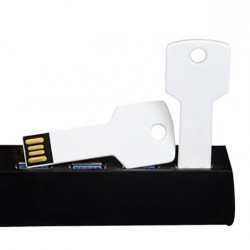 Elit Anahtar Usb Flash Bellek