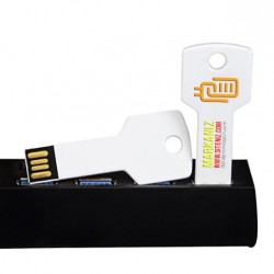 Elit Anahtar Usb Flash Bellek