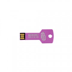 Anahtar USB Flash Bellek 01 Mor