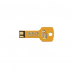 Anahtar USB Flash Bellek 01 Gold Sarı